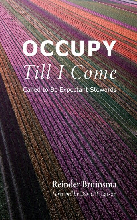 Cover image for book Occupy Till I Come