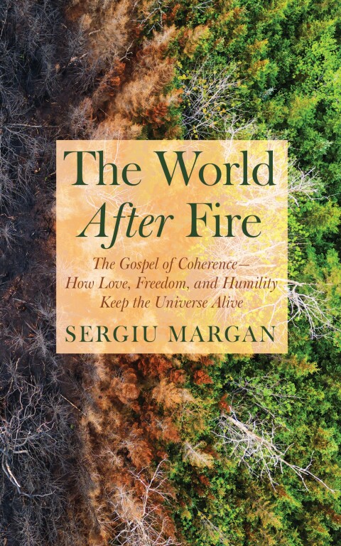 Cover image for book The World After Fire