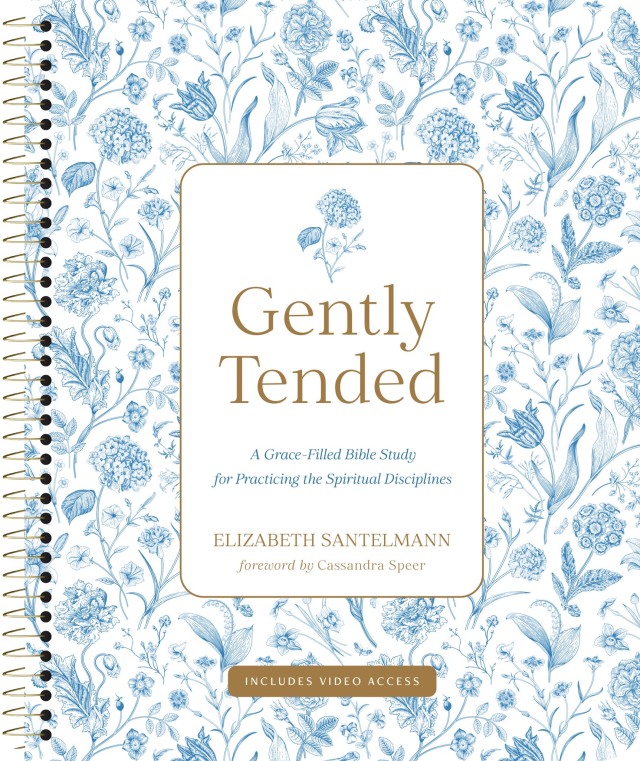 Gently Tended with Streaming Video Access