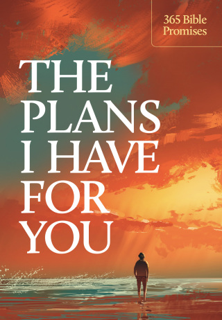 The Plans I Have for You