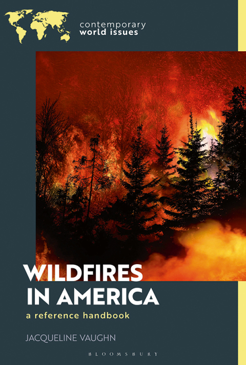 Cover image for book Wildfires in America