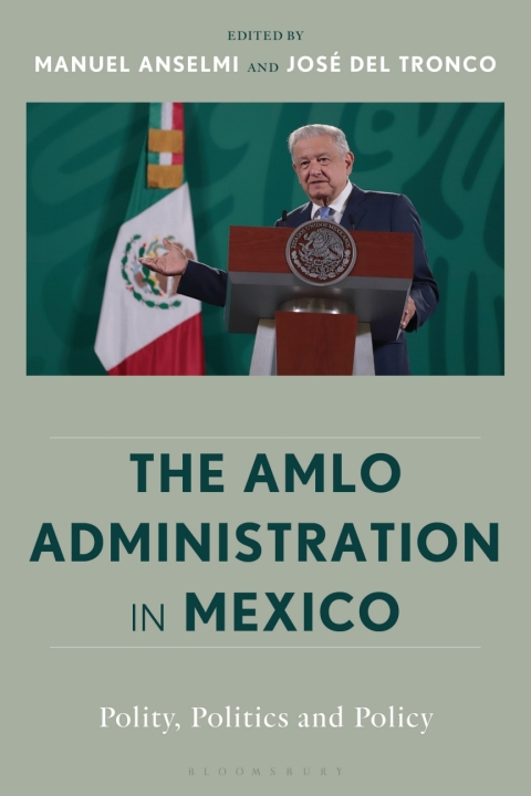 Cover image for book The AMLO Administration in Mexico
