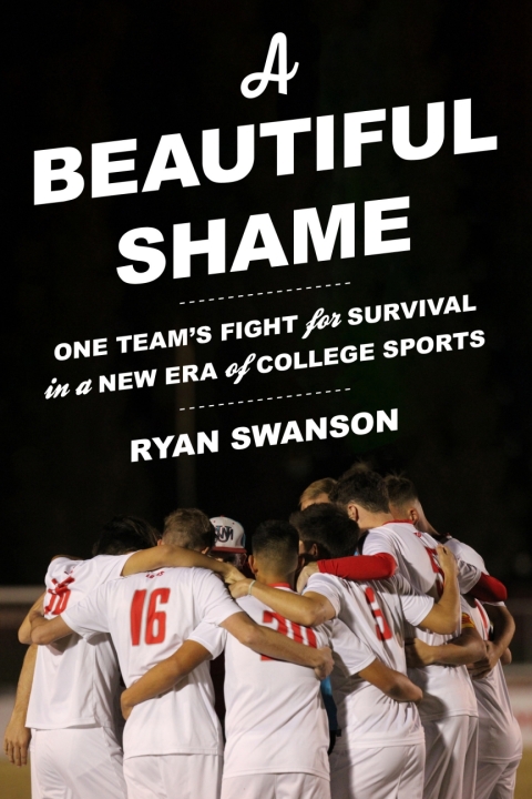 Cover image for book A Beautiful Shame