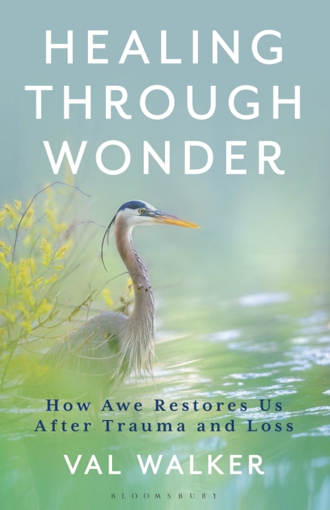 Cover image for book Healing Through Wonder