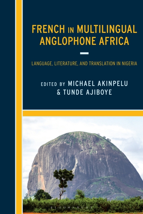 Cover image for book French in Multilingual Anglophone Africa