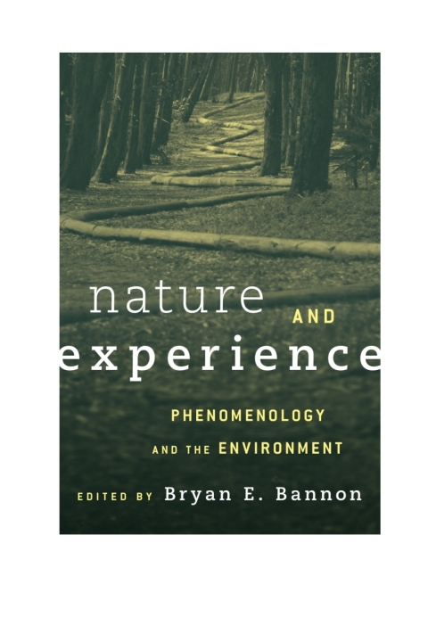 Cover image for book Nature and Experience