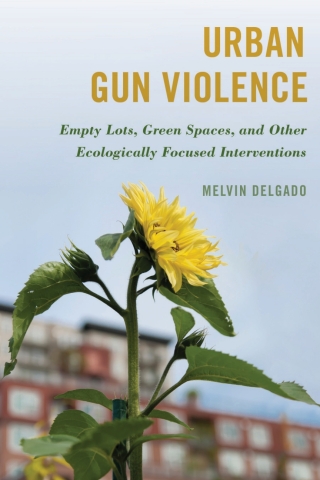 Urban Gun Violence