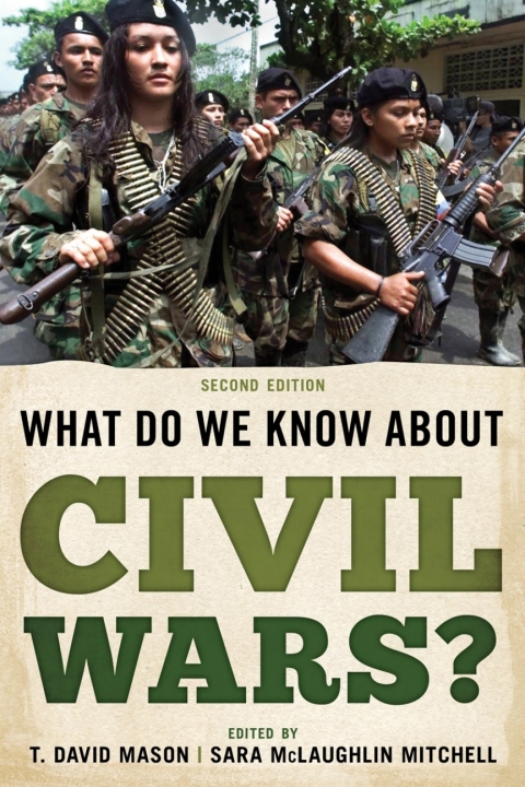 Cover image for book What Do We Know about Civil Wars?