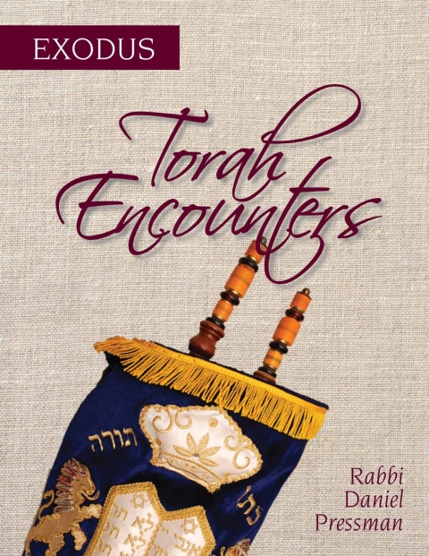 Cover image for book Torah Encounters