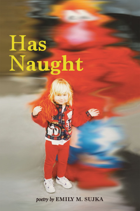 Cover image for book Has Naught
