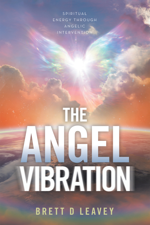 Cover image for book THE ANGEL VIBRATION