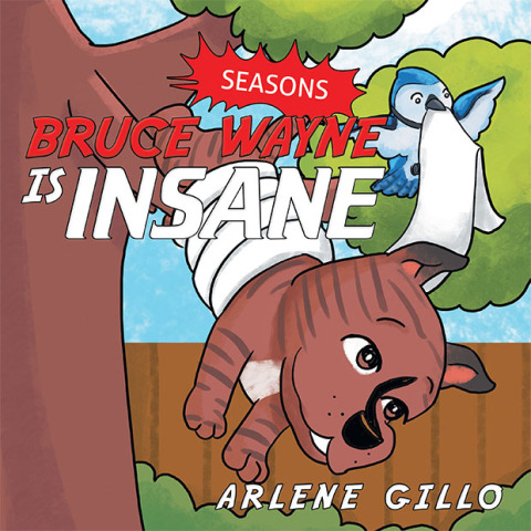 Cover image for book Bruce Wayne Is Insane