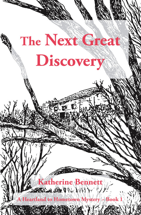 Cover image for book The Next Great Discovery