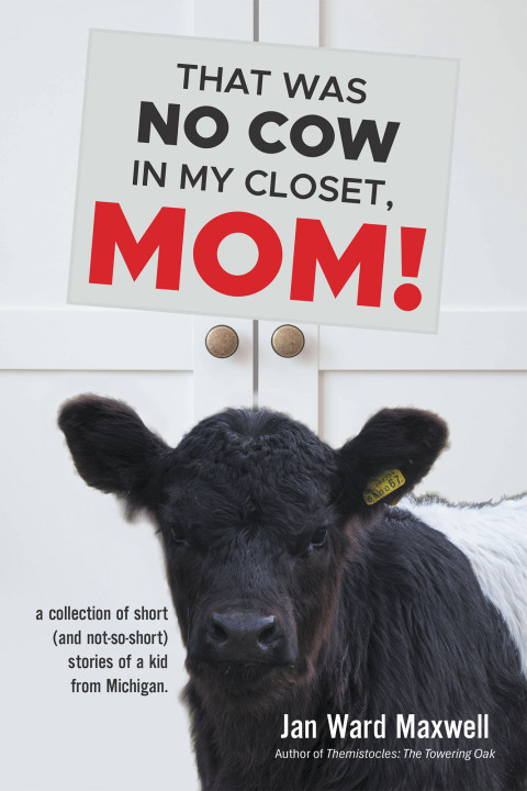 Cover image for book THAT WAS  NO COW IN  MY CLOSET,  MOM!