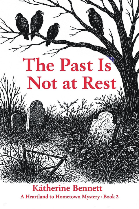 Cover image for book The Past Is Not at Rest