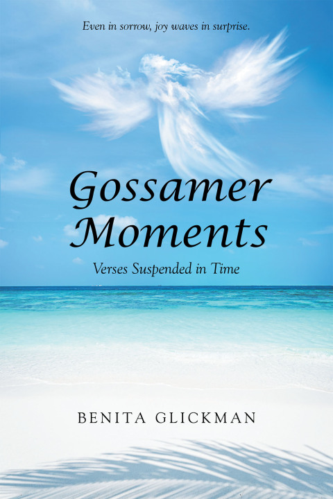Cover image for book Gossamer Moments