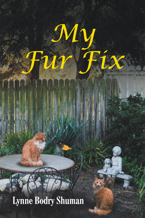 Cover image for book My Fur Fix