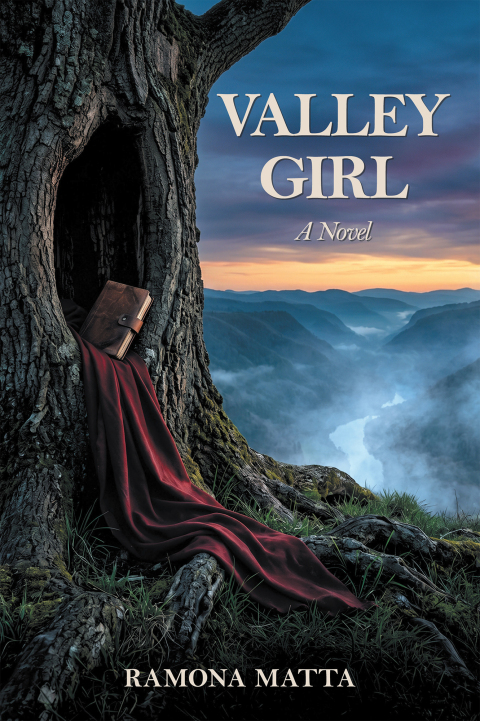 Cover image for book Valley Girl