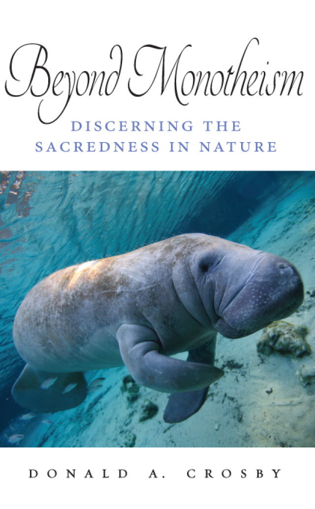 Beyond Monotheism