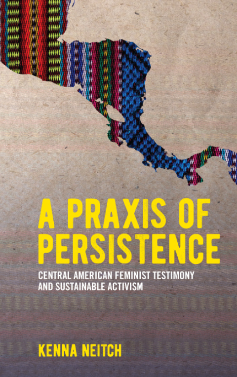 Cover image for book A Praxis of Persistence