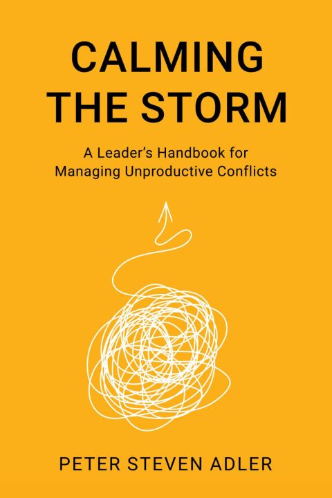 Cover image for book Calming the Storm