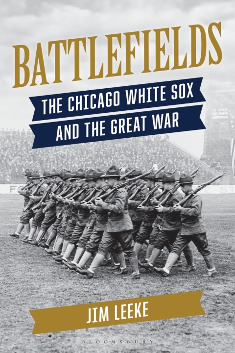 Cover image for book Battlefields