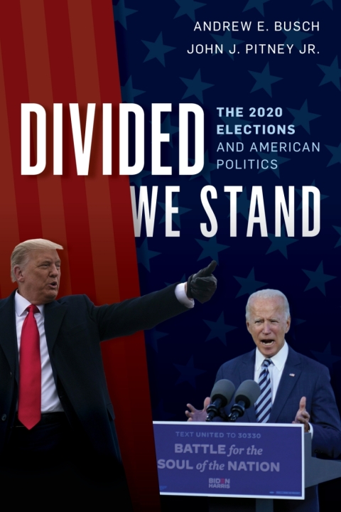 Cover image for book Divided We Stand