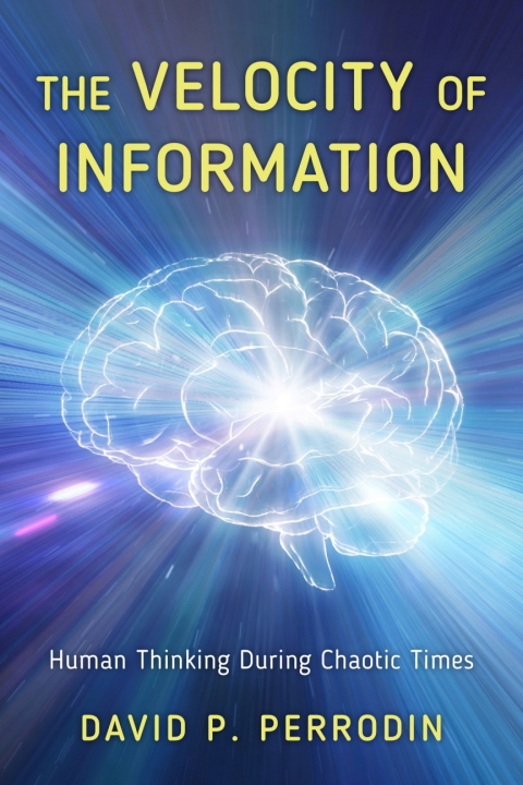 Cover image for book The Velocity of Information