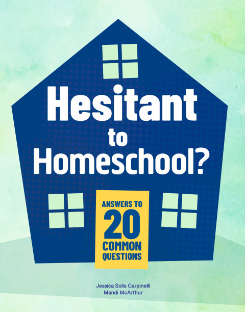 Cover image for book Hesitant to Homeschool?