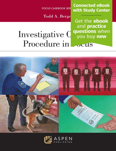 Cover image for book Investigative Criminal Procedure in Focus