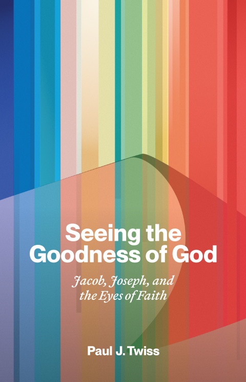 Cover image for book Seeing the Goodness of God