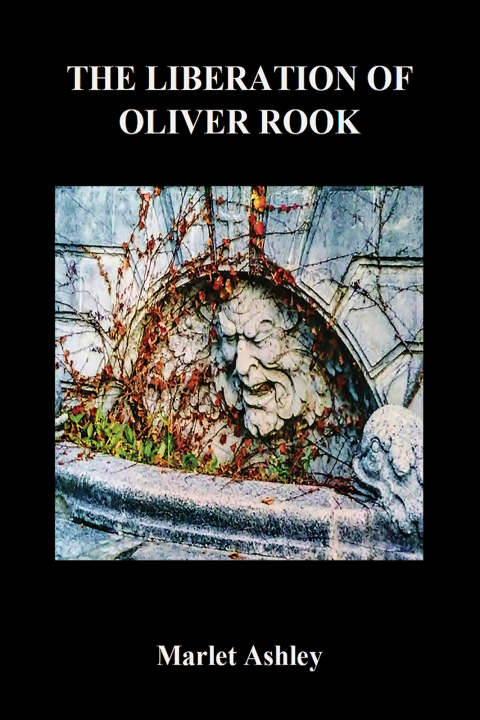 Cover image for book The Liberation of Oliver Rook