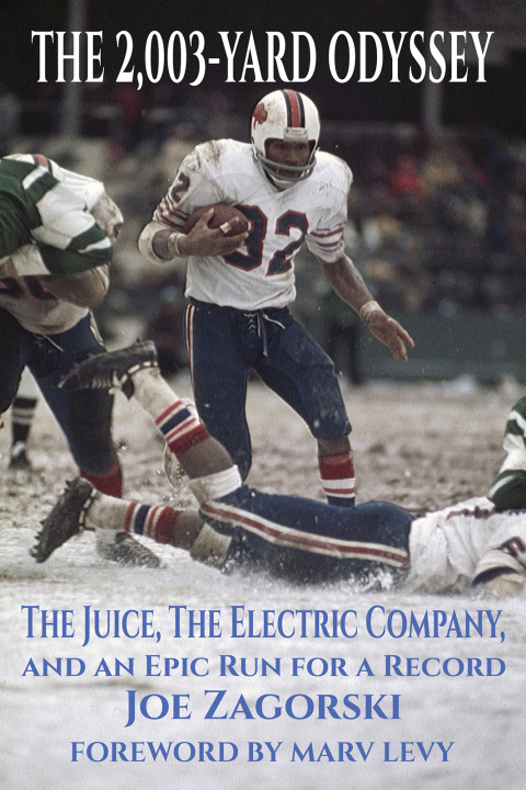 Cover image for book The 2,003-Yard Odyssey