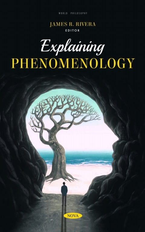 Cover image for book Explaining Phenomenology