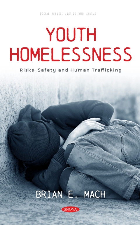 Cover image for book Youth Homelessness: Risks, Safety and Human Trafficking