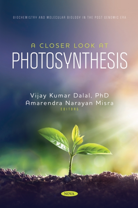 Cover image for book A Closer Look at Photosynthesis