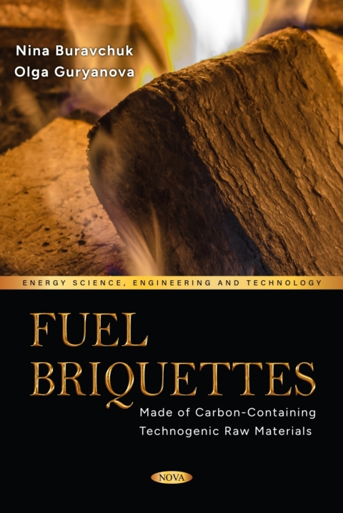 Cover image for book Fuel Briquettes Made of Carbon-Containing Technogenic Raw Materials