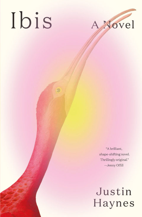 Cover image for book Ibis