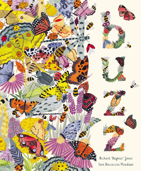Cover image for book Buzz