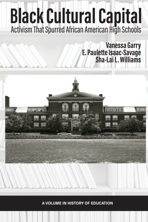 Cover image for book Black Cultural Capital
