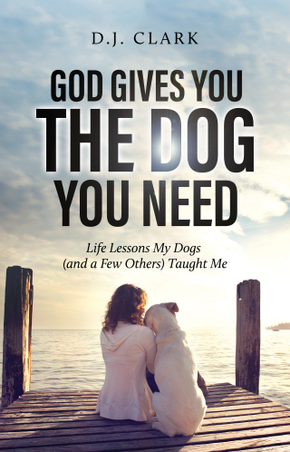 God Gives You the Dog You Need
