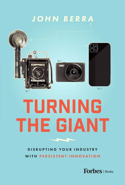 Cover image for book Turning the Giant