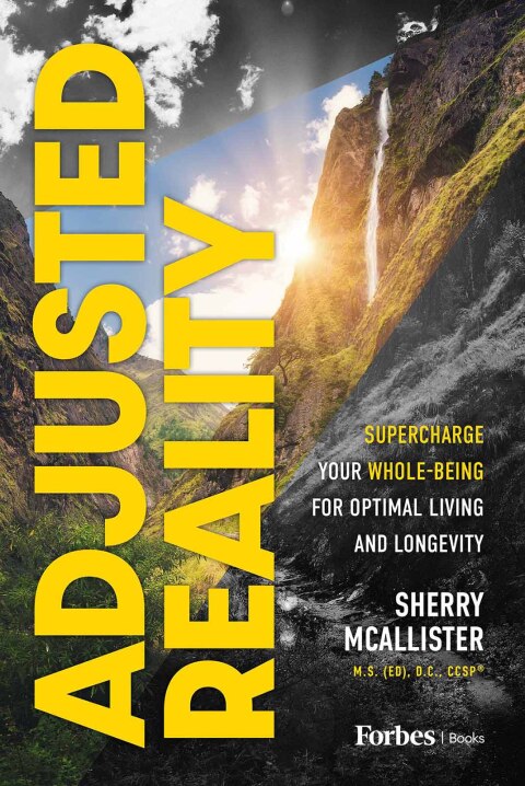 Cover image for book Adjusted Reality