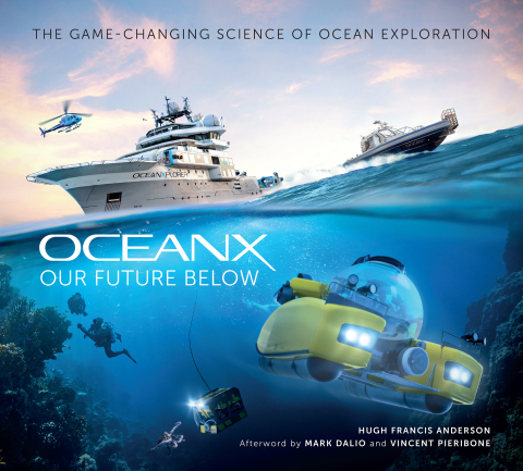 Cover image for book Our Future Below