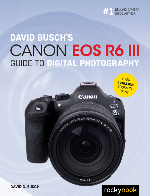 Cover image for book David Busch's Canon EOS R6 III Guide to Digital Photography