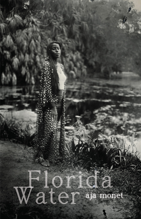 Cover image for book Florida Water
