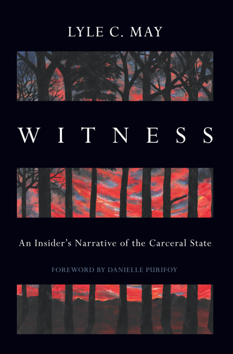 Cover image for book Witness
