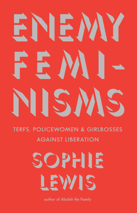 Cover image for book Enemy Feminisms