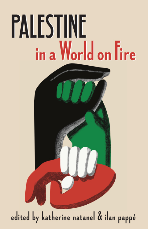 Cover image for book Palestine in a World on Fire