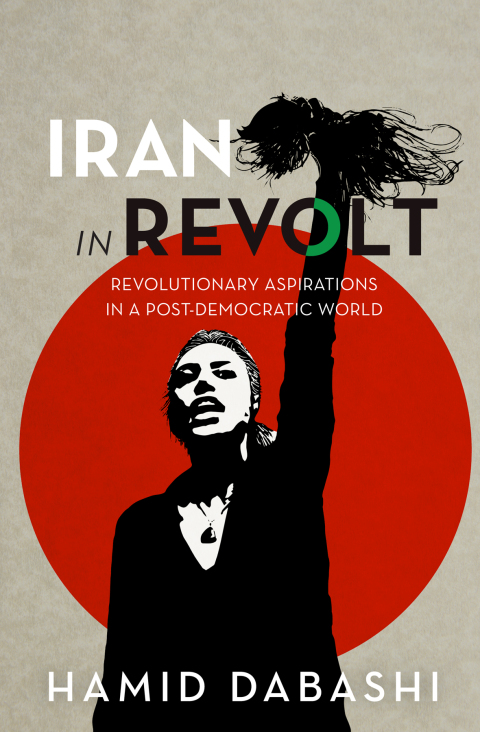 Cover image for book Iran in Revolt